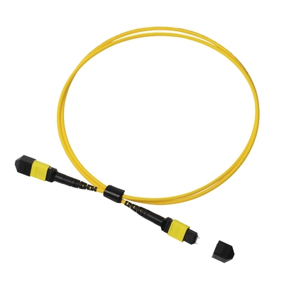 พลีนัม OFNP MPO Patch Cord 1m 3ft MTP-12 APC เพศหญิงสู่ MTP-12 APC เพศหญิง Single Mode OS2