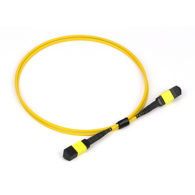 พลีนัม OFNP MPO Patch Cord 1m 3ft MTP-12 APC เพศหญิงสู่ MTP-12 APC เพศหญิง Single Mode OS2