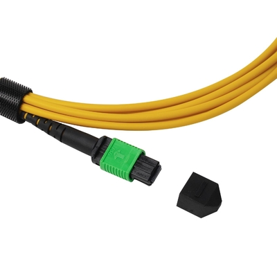 พลีนัม OFNP MPO Patch Cord 1m 3ft MTP-12 APC เพศหญิงสู่ MTP-12 APC เพศหญิง Single Mode OS2