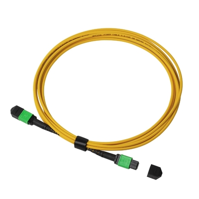 พลีนัม OFNP MPO Patch Cord 1m 3ft MTP-12 APC เพศหญิงสู่ MTP-12 APC เพศหญิง Single Mode OS2