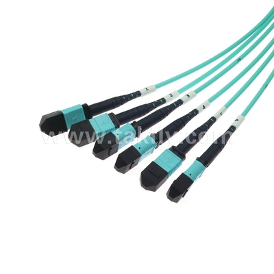 72 คอร์ SM MM MPO Patch Cord MTP กระดานกระดานกระดานกระดานกระดานกระดานกระดานกระดานกระดานกระดานกระดานกระดานกระดานกระดานกระดานกระดานกระดานกระดานกระดานกระดานกระดานกระดานกระดานกระดานกระดานกระดานกระดานกระดานกระดานกระดานกระดานกระดานกระดานกระดานกระดานกระดานกระดานกระดานกระดานกระดานกระดานกระดานกระดานกระดานกระดานกระดานกระดานกระดานกระดานกระดานกระดานกระดานกระดานกระดานกระดานกระดานกระดานกระดานกระดานกระดานกระดานกระดานกระดานกระดานกระดานกระดานกระดาน