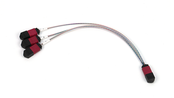 72 คอร์ SM MM MPO Patch Cord MTP กระดานกระดานกระดานกระดานกระดานกระดานกระดานกระดานกระดานกระดานกระดานกระดานกระดานกระดานกระดานกระดานกระดานกระดานกระดานกระดานกระดานกระดานกระดานกระดานกระดานกระดานกระดานกระดานกระดานกระดานกระดานกระดานกระดานกระดานกระดานกระดานกระดานกระดานกระดานกระดานกระดานกระดานกระดานกระดานกระดานกระดานกระดานกระดานกระดานกระดานกระดานกระดานกระดานกระดานกระดานกระดานกระดานกระดานกระดานกระดานกระดานกระดานกระดานกระดานกระดานกระดานกระดาน