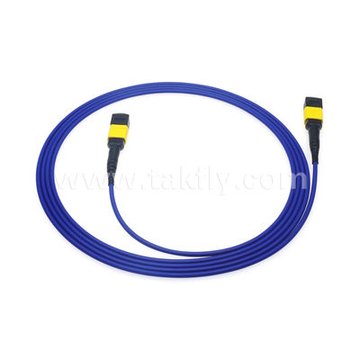 MPO/MTP Patchcord แบรนด์ทรังเคเบิล SM/MM Jumper ไฟเบอร์ออปติกสําหรับศูนย์ข้อมูล AI FTTX Telecom