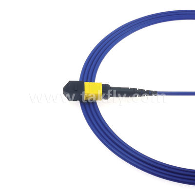 MPO/MTP Patchcord แบรนด์ทรังเคเบิล SM/MM Jumper ไฟเบอร์ออปติกสําหรับศูนย์ข้อมูล AI FTTX Telecom
