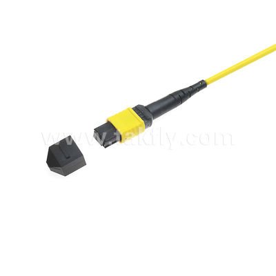MPO/MTP Patchcord แบรนด์ทรังเคเบิล SM/MM Jumper ไฟเบอร์ออปติกสําหรับศูนย์ข้อมูล AI FTTX Telecom