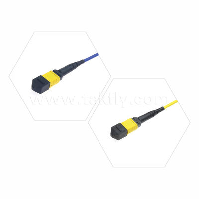 MPO/MTP Patchcord แบรนด์ทรังเคเบิล SM/MM Jumper ไฟเบอร์ออปติกสําหรับศูนย์ข้อมูล AI FTTX Telecom
