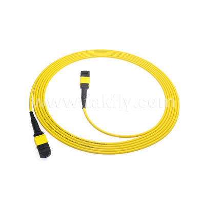 MPO/MTP Patchcord แบรนด์ทรังเคเบิล SM/MM Jumper ไฟเบอร์ออปติกสําหรับศูนย์ข้อมูล AI FTTX Telecom