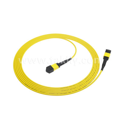 MPO/MTP Patchcord แบรนด์ทรังเคเบิล SM/MM Jumper ไฟเบอร์ออปติกสําหรับศูนย์ข้อมูล AI FTTX Telecom