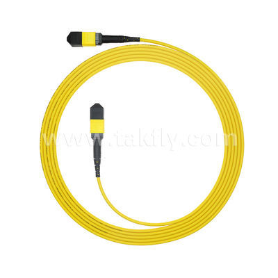MPO/MTP Patchcord แบรนด์ทรังเคเบิล SM/MM Jumper ไฟเบอร์ออปติกสําหรับศูนย์ข้อมูล AI FTTX Telecom