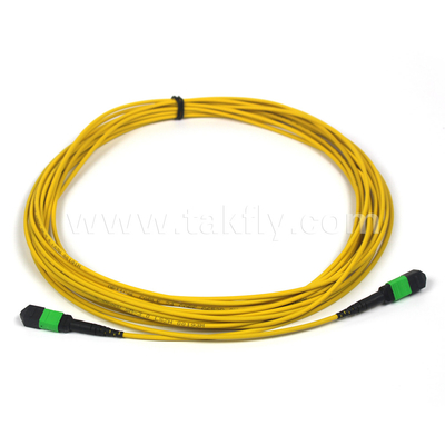 MTP-12 APC เพศหญิงสู่ MTP-12 APC เพศหญิง SingleMode OS2 Plenum OFNP ประเภท A MPO แพทช์คอร์ด