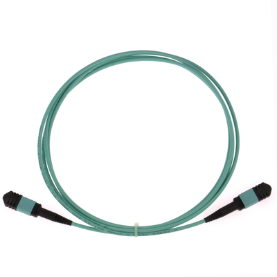 Elite Multimode OM3 50/125, Plenum OFNP ประเภท B MPO Patch Cord 3m 10ft MTP-12 PC หญิง ไปยัง MTP-12 PC หญิง