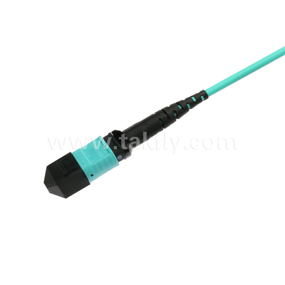 Elite Multimode OM3 50/125 Plenum OFNP ประเภท B MPO Patch Cord 30m 100ft MTP-12 PC หญิง ไปยัง MTP-12 PC หญิง