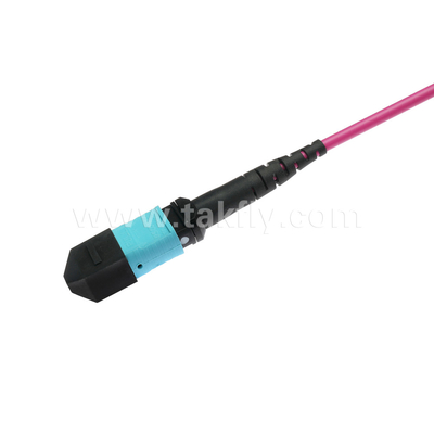 Elite Multimode OM4 50/125, Plenum OFNP Type B MPO patch cord 3m 10ft MTP-12 PC เพศหญิงสู่ MTP-12 PC เพศหญิง