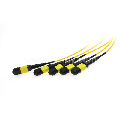 MPO/MTP Fanout Cable PLC Splitter 1x4 SM/MM สายใยออฟติกสําหรับศูนย์ข้อมูล FTTX