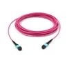 MTP-24 Single-Mode LSZH ทรังเคเบิล 12/24 หลัก