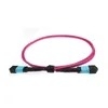 MTP-24 Single-Mode LSZH ทรังเคเบิล 12/24 หลัก
