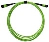 MTP-24 Single-Mode LSZH ทรังเคเบิล 12/24 หลัก