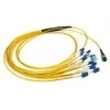 MTP MPO Patchcord 12 24 สายไฟเบอร์ OM3 OM4 Multimode Single Mode