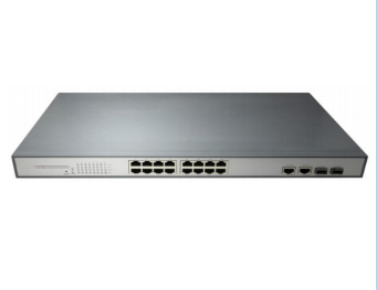 DF-1.25G-16P-2E-2F Product Description