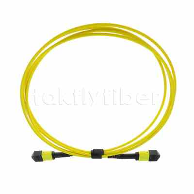 5M MTP® MPO Trunk Cable, MTP®-12 APC (หญิง) ถึง MTP®-12 APC (หญิง), 12 สายใย, OS2 Plenum (OFNP), 0.35dB Max