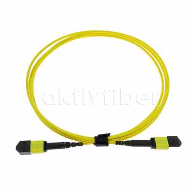 5M MTP® MPO Trunk Cable, MTP®-12 APC (หญิง) ถึง MTP®-12 APC (หญิง), 12 สายใย, OS2 Plenum (OFNP), 0.35dB Max