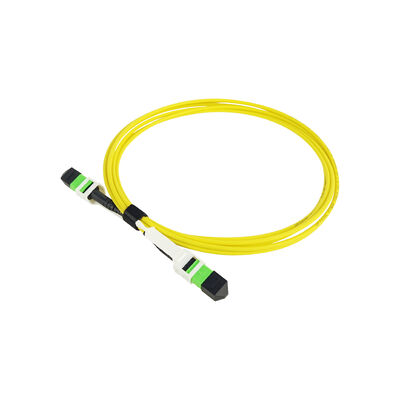 สายเคเบิลเบรกเอาต์ไฟเบอร์ออปติก Pull Tab MPO MTP ตัวผู้ ตัวเมีย SM MM OM3 OM4 OM5 Patchcord ไฟเบอร์ออปติก/สายแพทช์ไฟเบอร์ออปติก/สายเคเบิลหลักไฟเบอร์ออปติก/สาย Fanout ไฟเบอร์ออปติกสำหรับความหนาแน่นสูง