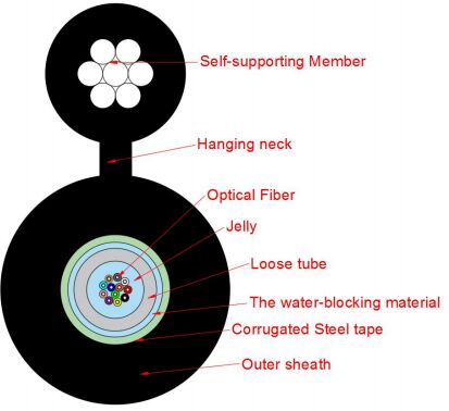 สายเคเบิลเครือข่ายเข้าถึงประเภท รูปที่ 8 GYXTC8S-2-24X