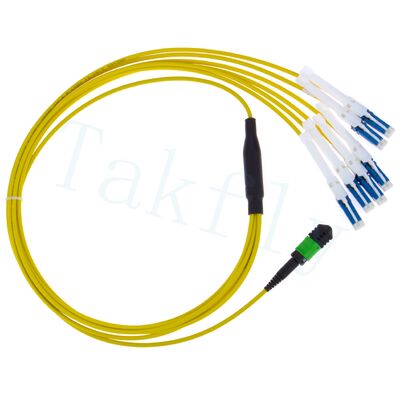 MPO to CS Breakout Patch Cord หนทางแก้ไขความหนาแน่นสูงสําหรับ 400G/800G Data Center Interconnects