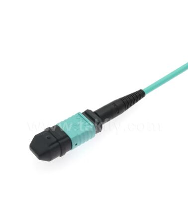สายแพทช์ฝ่าวงล้อม MPO / MTP-LC | โซลูชันการเดินสายไฟเบอร์ออปติกแบบมัลติคอร์ความหนาแน่นสูง