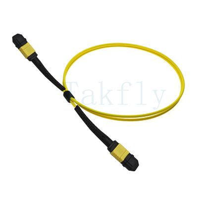 สายแพทช์ Fanout MPO APC 12-Core - ชายกับหญิง, การสูญเสียต่ำ