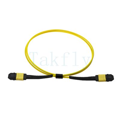 สายแพทช์ Fanout MPO APC 12-Core - ชายกับหญิง, การสูญเสียต่ำ