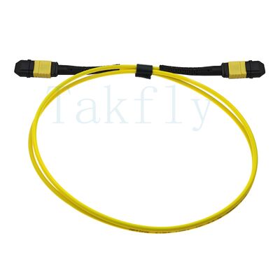 สายแพทช์ Fanout MPO APC 12-Core - ชายกับหญิง, การสูญเสียต่ำ