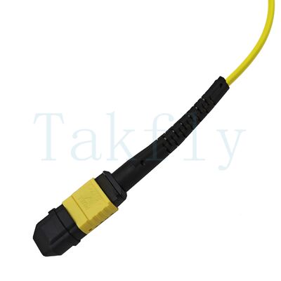 สายแพทช์ Fanout MPO APC 12-Core - ชายกับหญิง, การสูญเสียต่ำ