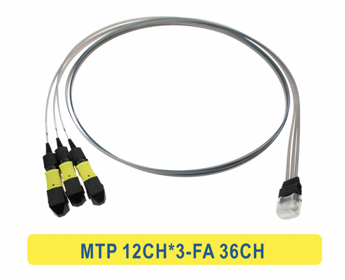 3 * 12F MTP ถึง 36CH FA สายไฟเบอร์อาร์เรย์ สายไฟเบอร์ออปติก แพทชคอร์ด