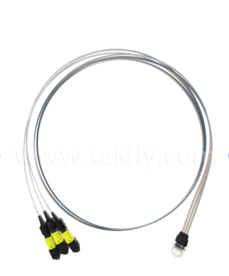MTP 12CH × 3 ถึง 36 ช่องไฟเบอร์อารายการประกอบการ 3 × 12CH เครื่องเชื่อม MTP ถึง 36CH V-Groove FAU, ความสูญเสียการใส่ต่ํา, สําหรับเครื่องรับเสียงออทติกัล 1.6T และออทติกัลที่บรรจุร่วม (CPO)