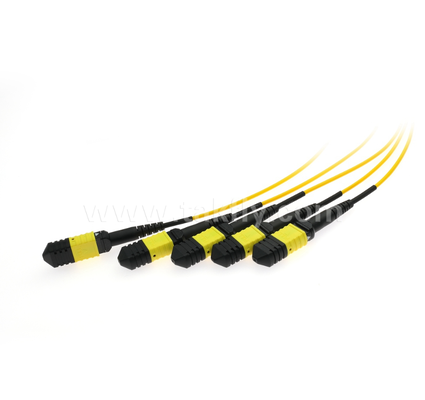 1×4 MPO/MTP SM PLC Splitter ✓ โมเดอร์เดียว, การตั้งค่า 1×4, MPO Input to MPO Output, ความสูญเสียการใส่ต่ํา (≤7.2dB), สําหรับการเชื่อมเคเบิลศูนย์ข้อมูลความหนาแน่นสูง, ระบบที่สิ้นสุดก่อน & การกระจาย FTTx