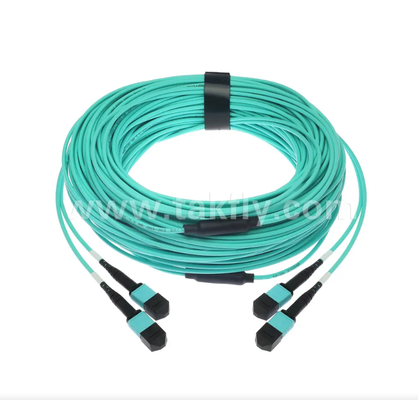 สายแพทช์ Trunk ขนาดเล็ก MPO/PC 24-Core – มัลติโหมด OM3, อินพุต 2×MPO ถึง 2×เอาต์พุต MPO, การสูญเสียการแทรกต่ำ, สำหรับศูนย์ข้อมูลความหนาแน่นสูงและแอปพลิเคชัน SR4 40G/100G