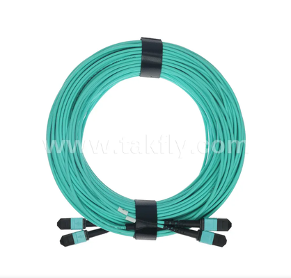 สายแพทช์ Trunk ขนาดเล็ก MPO/PC 24-Core – มัลติโหมด OM3, อินพุต 2×MPO ถึง 2×เอาต์พุต MPO, การสูญเสียการแทรกต่ำ, สำหรับศูนย์ข้อมูลความหนาแน่นสูงและแอปพลิเคชัน SR4 40G/100G