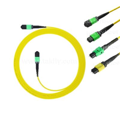 MPO MTP Patchcord SM Trunk Cable 12F ไฟเบอร์ออปติกสําหรับศูนย์ข้อมูล AI Telecom FTTX Cabling