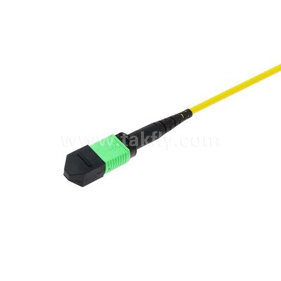 MPO MTP Patchcord SM Trunk Cable 12F ไฟเบอร์ออปติกสําหรับศูนย์ข้อมูล AI Telecom FTTX Cabling