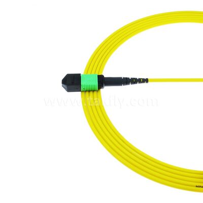 MPO MTP Patchcord SM Trunk Cable 12F ไฟเบอร์ออปติกสําหรับศูนย์ข้อมูล AI Telecom FTTX Cabling