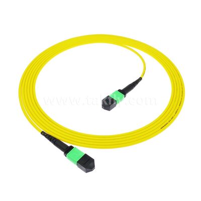 MPO MTP Patchcord SM Trunk Cable 12F ไฟเบอร์ออปติกสําหรับศูนย์ข้อมูล AI Telecom FTTX Cabling