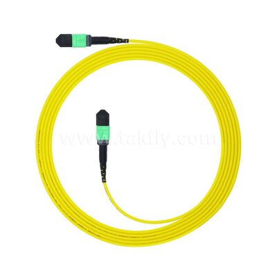 MPO MTP Patchcord SM Trunk Cable 12F ไฟเบอร์ออปติกสําหรับศูนย์ข้อมูล AI Telecom FTTX Cabling