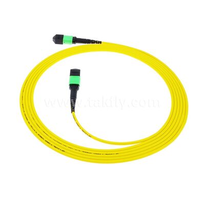 MPO MTP Patchcord SM Trunk Cable 12F ไฟเบอร์ออปติกสําหรับศูนย์ข้อมูล AI Telecom FTTX Cabling