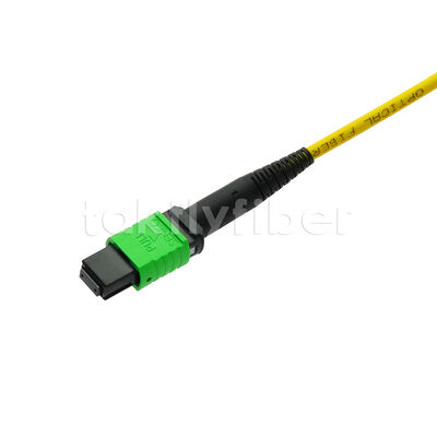 MPO MTP Patchcord SM Trunk Cable 12F ไฟเบอร์ออปติกสําหรับศูนย์ข้อมูล AI Telecom FTTX Cabling