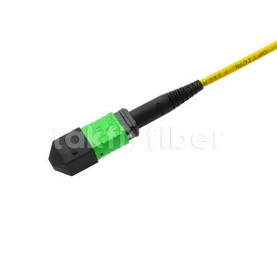 MPO MTP Patchcord SM Trunk Cable 24F Fiber Optic for Data Center AI Telecom FTTX Cabling