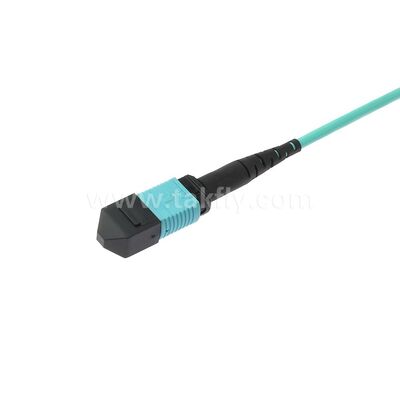 MPO MTP Patchcord Multimode OM3 Trunk Cable 24F Fiber Optic for Data Center AI Telecom Cabling