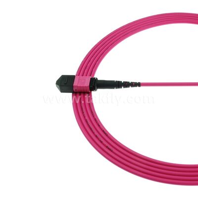 MPO MTP Patchcord Multimode OM4 Trunk Cable 24F Fiber Optic for Data Center AI Telecom Cabling