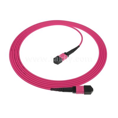 MPO MTP Patchcord Multimode OM4 Trunk Cable 12F Fiber Optic for Data Center AI Telecom Cabling
