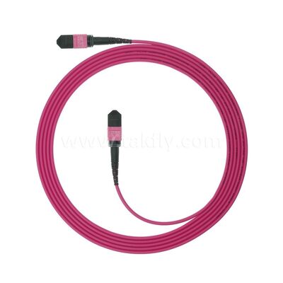 MPO MTP Patchcord Multimode OM4 Trunk Cable 12F Fiber Optic for Data Center AI Telecom Cabling